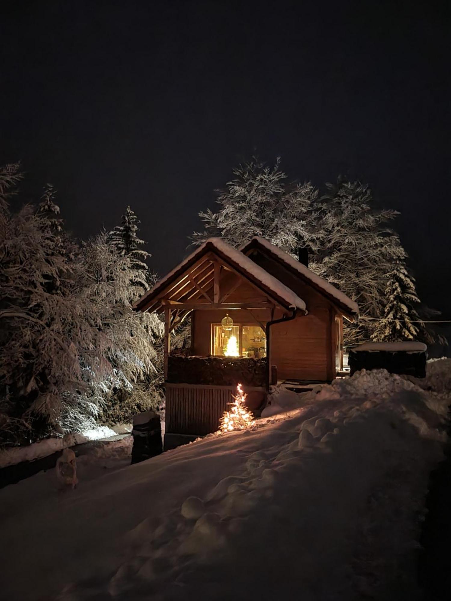 Ica - Hisica V Hribih Villa Kamnik Exterior foto