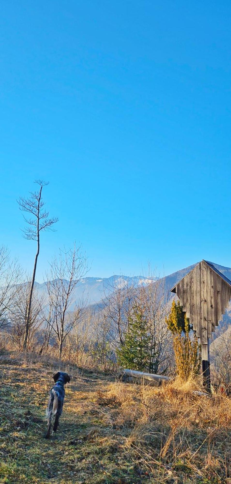 Ica - Hisica V Hribih Villa Kamnik Exterior foto