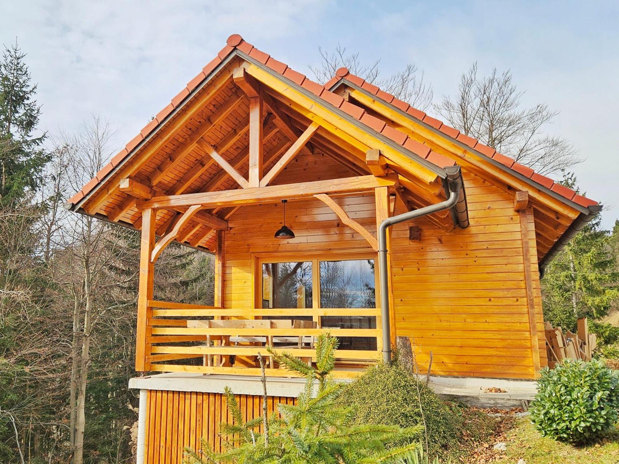 Ica - Hisica V Hribih Villa Kamnik Exterior foto